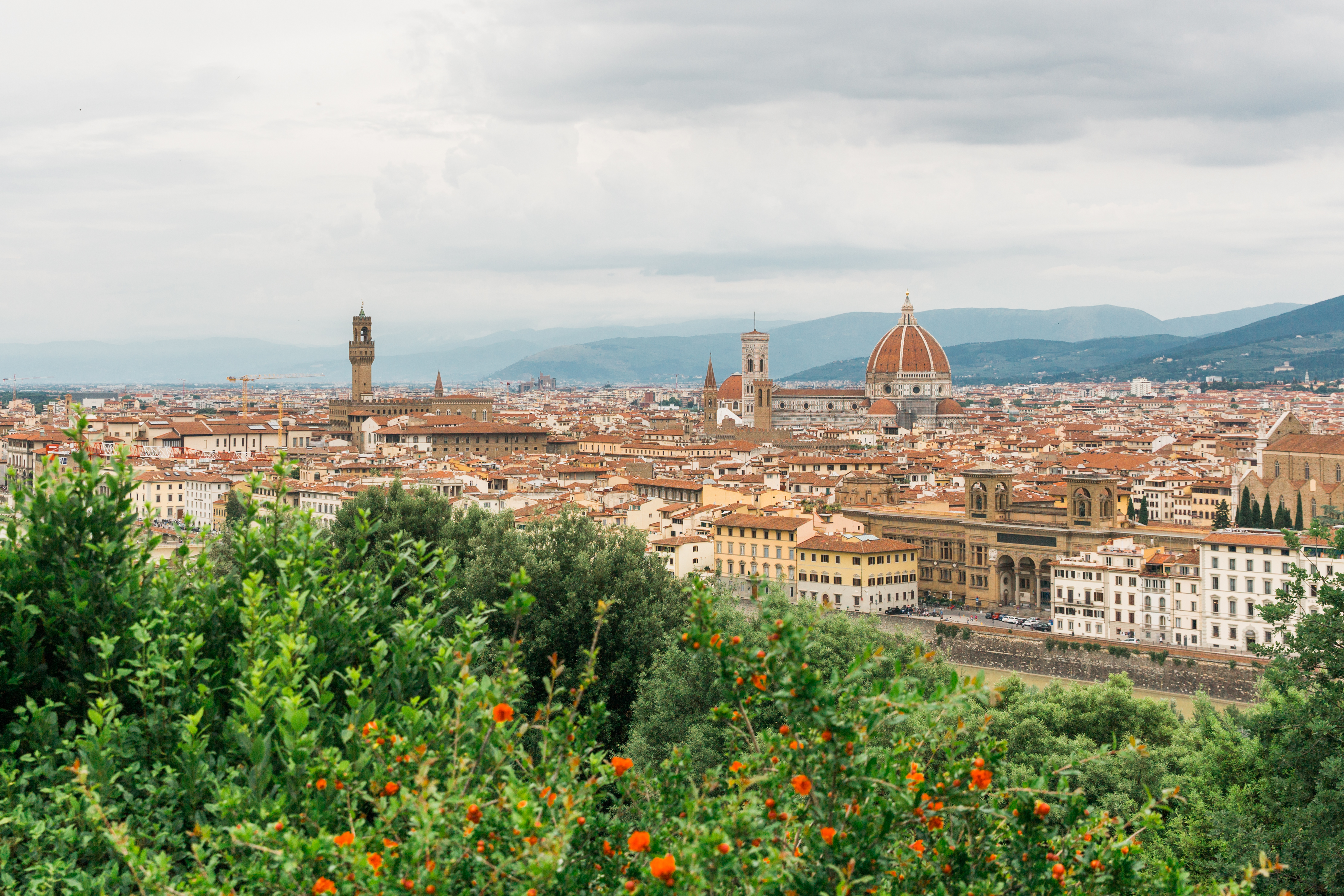 The florence skyline featuring the Duomo