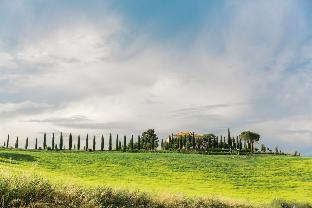 a tuscan country-side with Cyprus trees