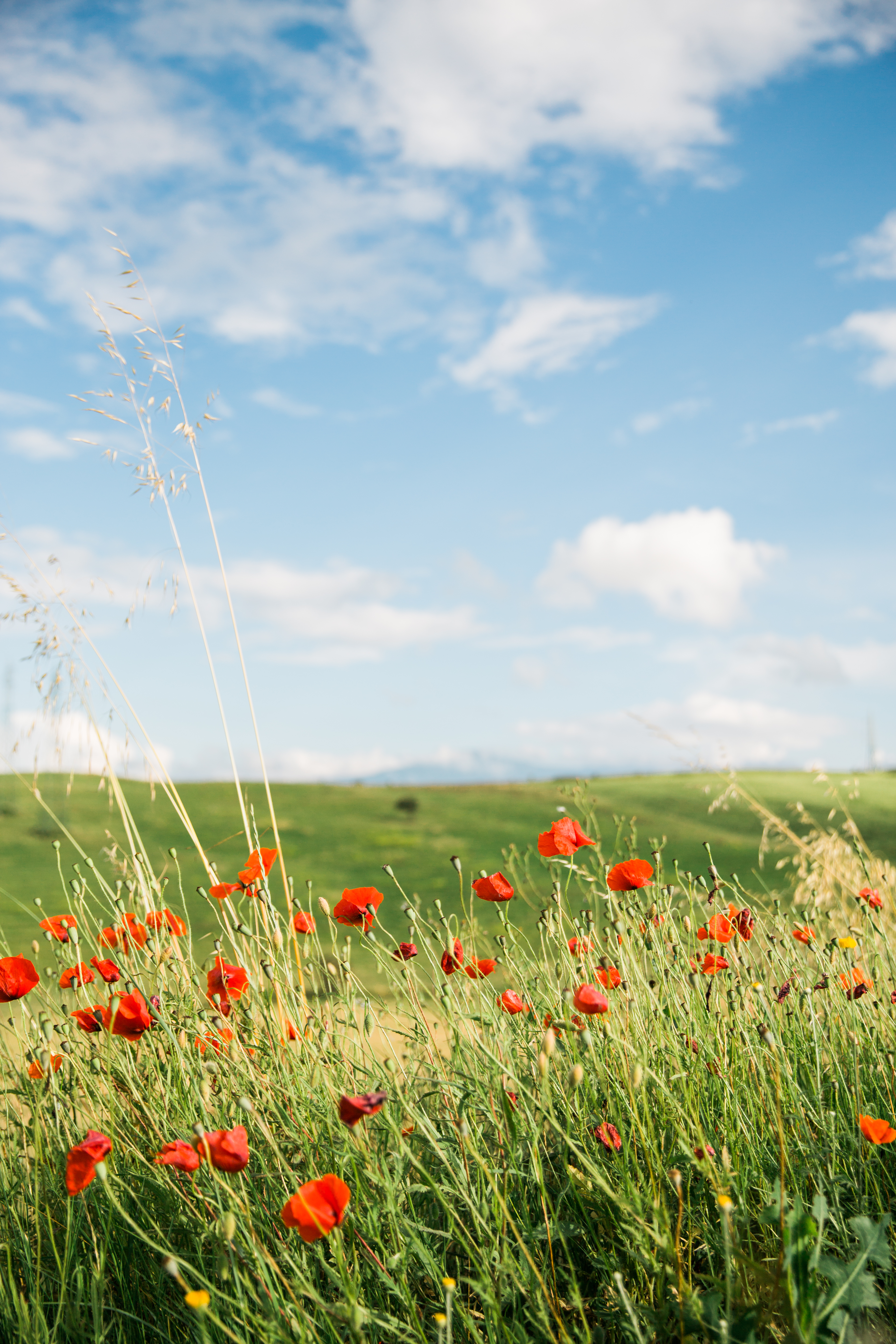 a tuscan country-side