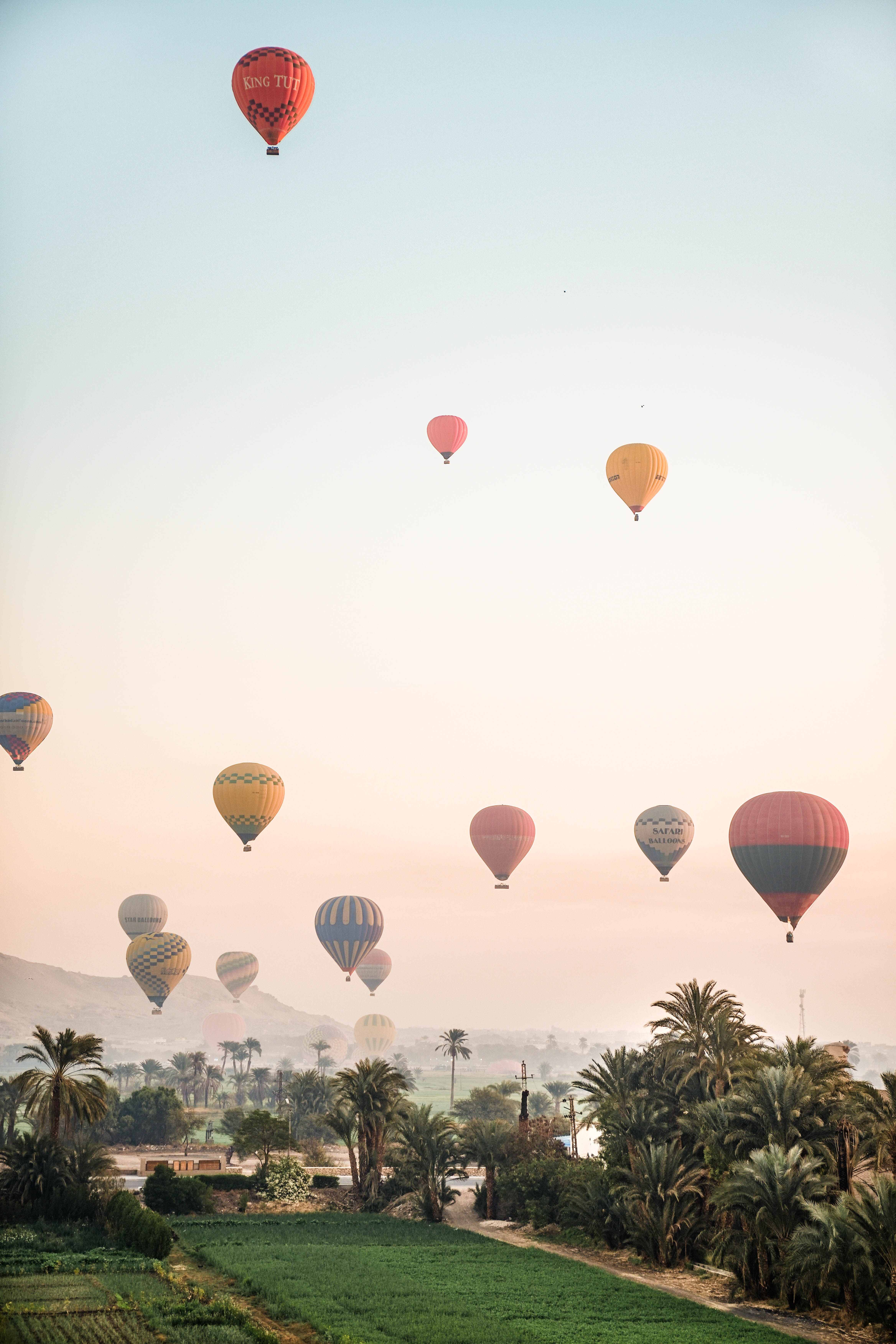 hot air balloons over Luxor 