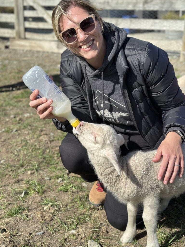 a woman feeding a baby goat