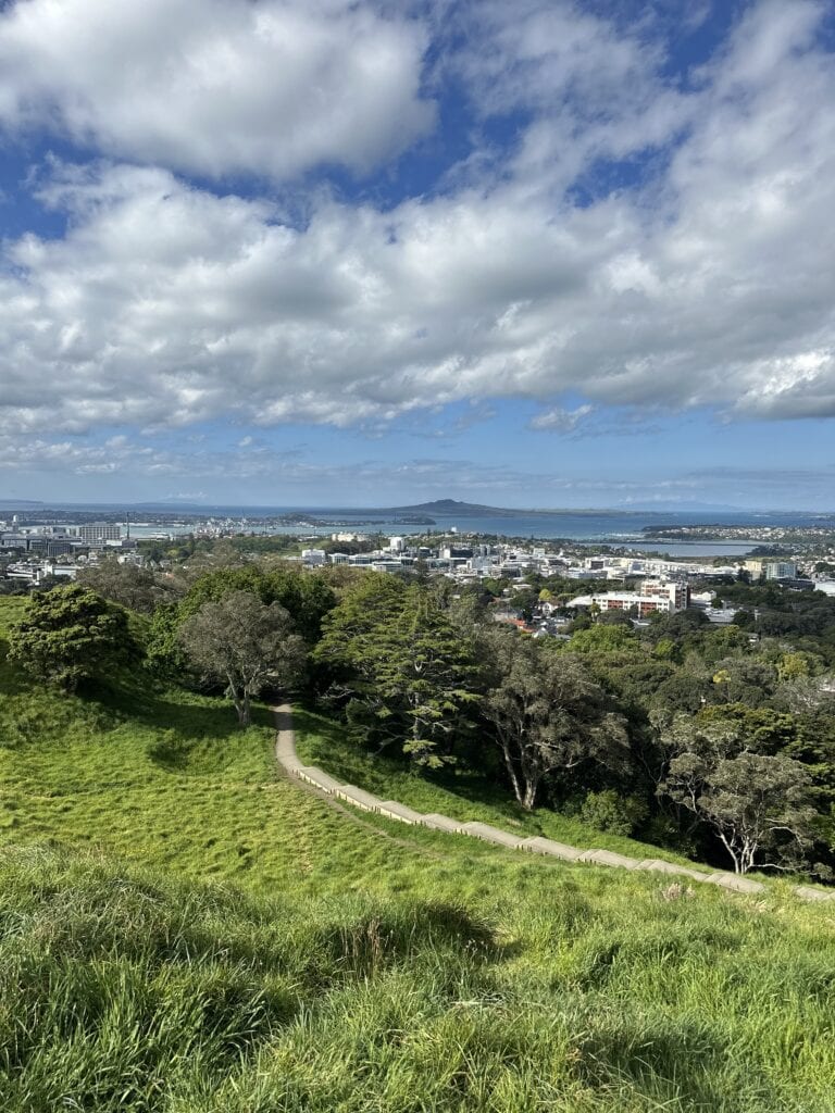 a view of a green hillside with a town below