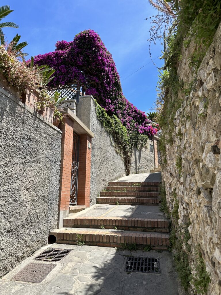 steps and an alley with flowers