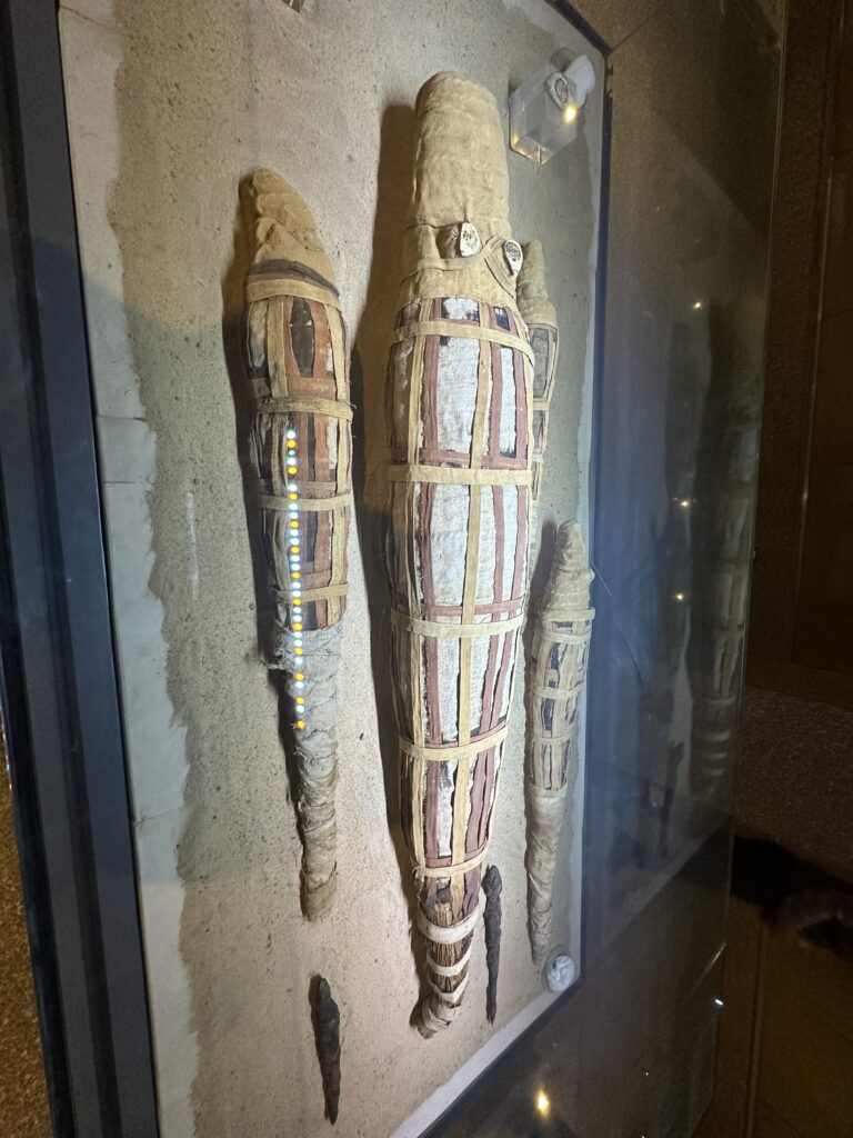 crocodile temple in Luxor Egypt