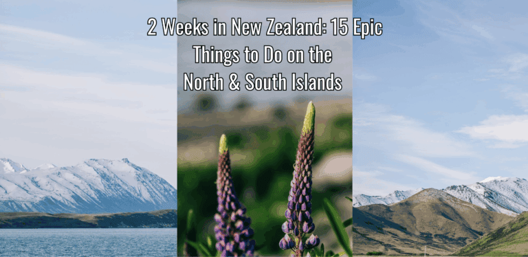 3 photos of New Zealand: one of snowy mountains and a lake, another of a purple lupine, and the last of snowy & green mountains