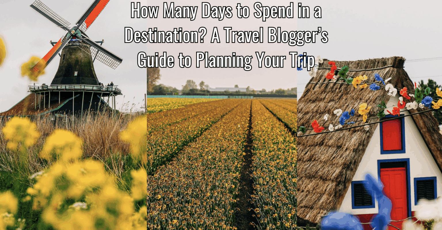 tulips, a windmill, and a tiny house