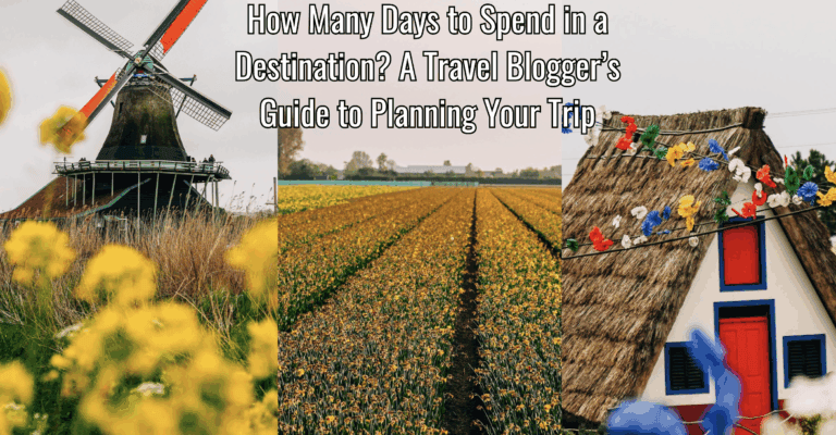 tulips, a windmill, and a tiny house